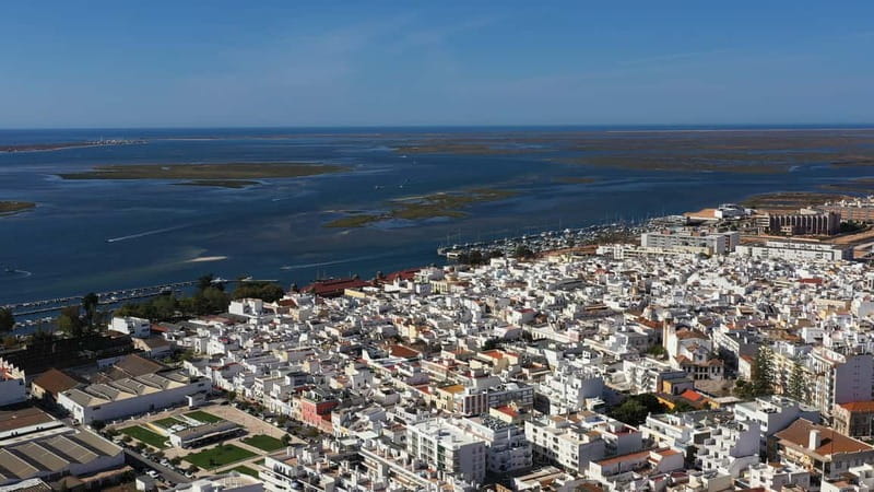 Ria Formosa: Armona and Culatra Islands 3-Hour Boat Tour - Marshes, oysters, and the work of the tide