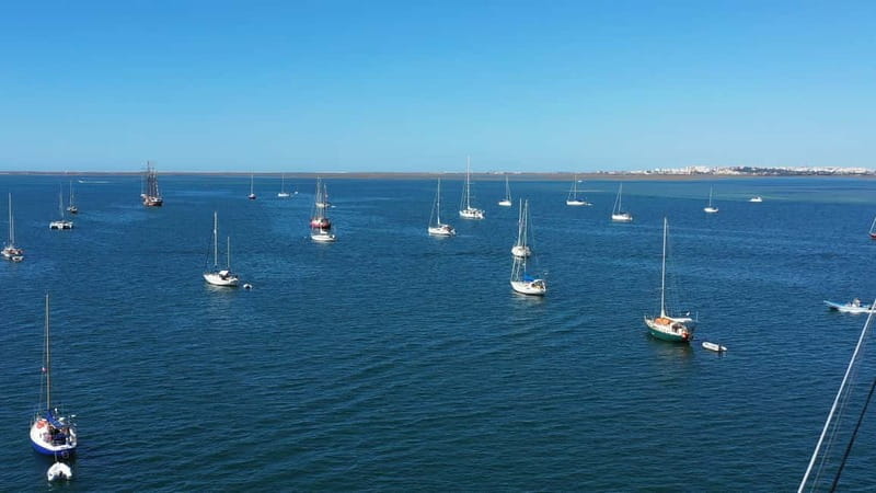 Ria Formosa: Armona and Culatra Islands 3-Hour Boat Tour - Armona Island and the walk to open sand
