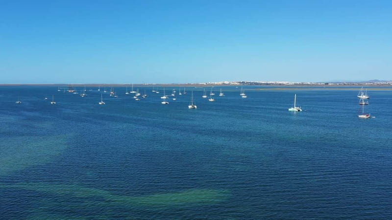 Ria Formosa: Armona and Culatra Islands 3-Hour Boat Tour - Why three hours works, and where it feels rushed