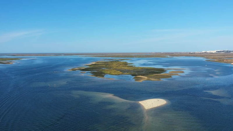 Ria Formosa: Armona and Culatra Islands 3-Hour Boat Tour - The guides make the difference