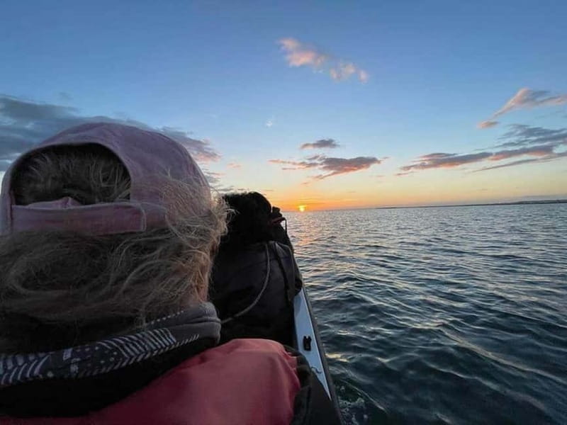 Ria Formosa: Armona and Culatra Islands 3-Hour Boat Tour - Weather, timing, and what to bring
