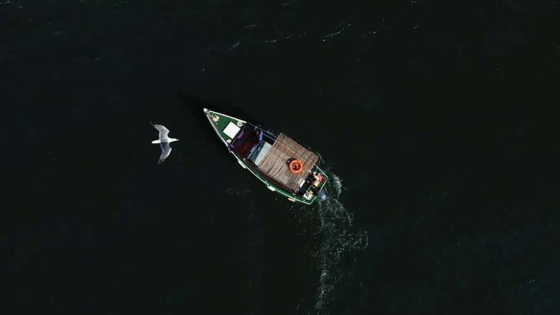 Ria Formosa: Armona and Culatra Islands 3-Hour Boat Tour - Should you book it?