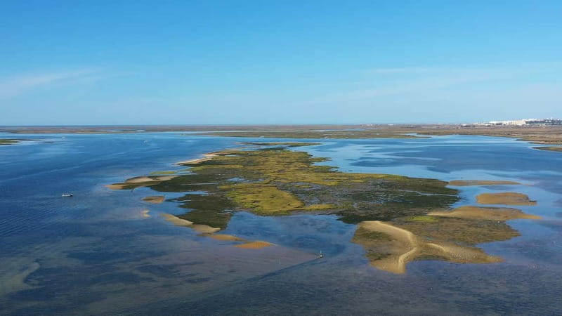 Ria Formosa: Armona and Culatra Islands 3-Hour Boat Tour - Culatra Island, a car-free village with working roots