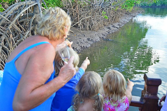 River Cruise - Into the Dickson Inlet: mangroves, mudflats, and crocodiles
