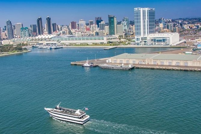 San Diego: Harbor Cruise - Sea lions and other wildlife