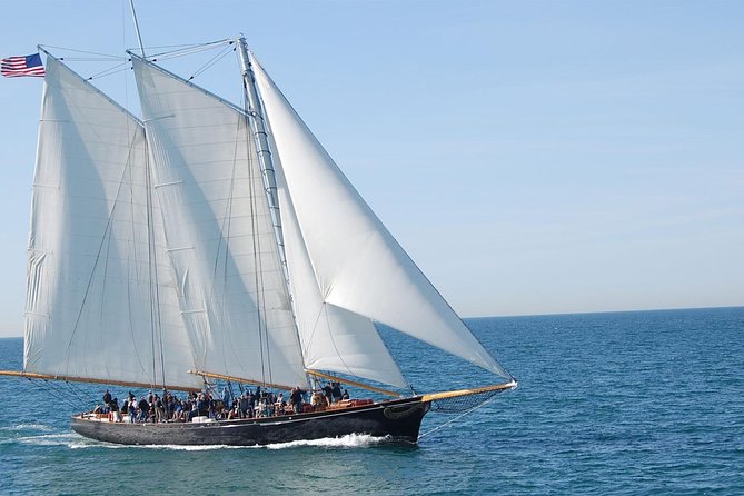 San Diego Whale Watching Cruise - Booking, weather, and cancellation details