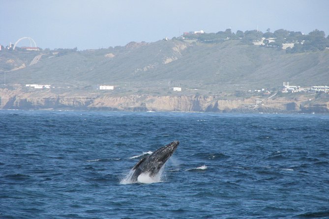San Diego Whale Watching Cruise - Old Point Loma Lighthouse and the coastal view