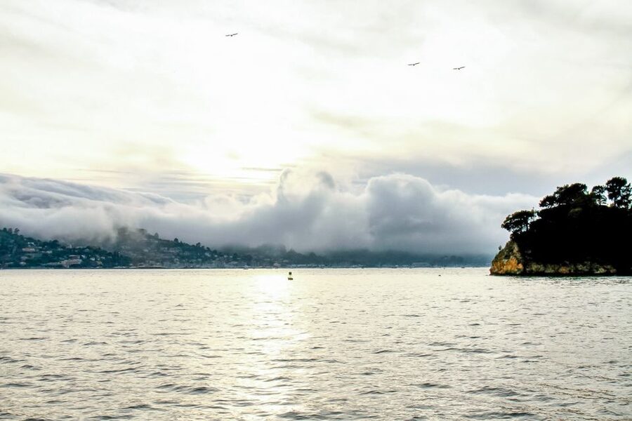 San Francisco: California Sunset Cruise (2-hours) - Returning as San Francisco lights up