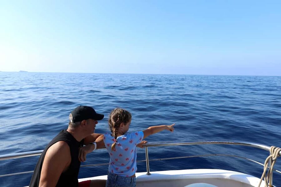 Santa Ponsa: Dolphin Watching Cruise - Food, drinks, and comfort at sea