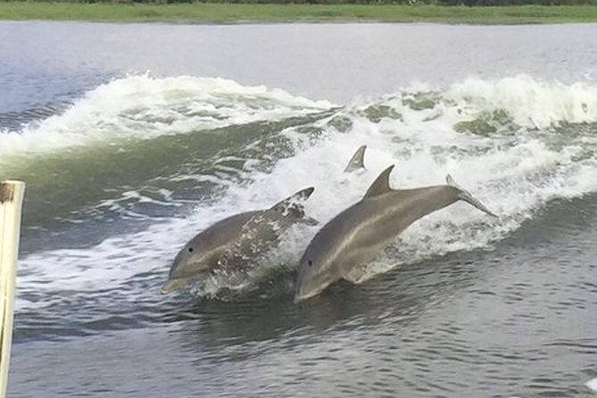 Savannah to Tybee Island with Dolphin Cruise - North Beach, the lighthouse, and Tybee’s shore