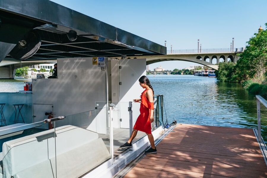 Seville: 1-Hour Guadalquivir River Sightseeing Eco Cruise - Who should book this Seville river cruise?