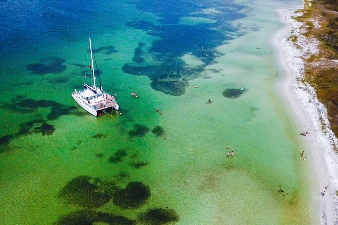 Shell Island Snorkel and Dolphin Catamaran Cruise with Island Time - Key points to know before booking