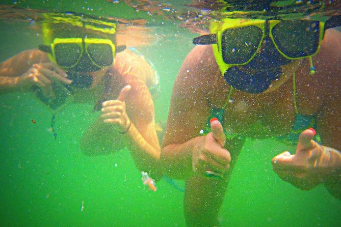 Shell Island Snorkel and Dolphin Catamaran Cruise with Island Time - Why the catamaran matters