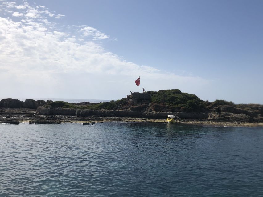 Side: Dolphin Island Boat Tour w/ Lunch & Foam Party - Dolphin Island, with wildlife kept in perspective