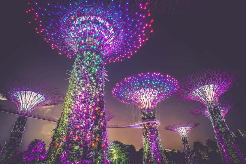 Singapore River Cruise, Garden Rhapsody & Spectra by CYT - Gardens by the Bay and the Supertrees