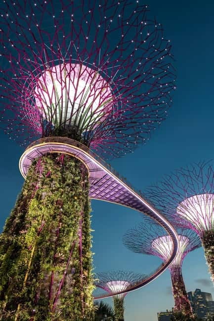 Singapore River Cruise, Garden Rhapsody & Spectra by CYT - Who should book this experience?