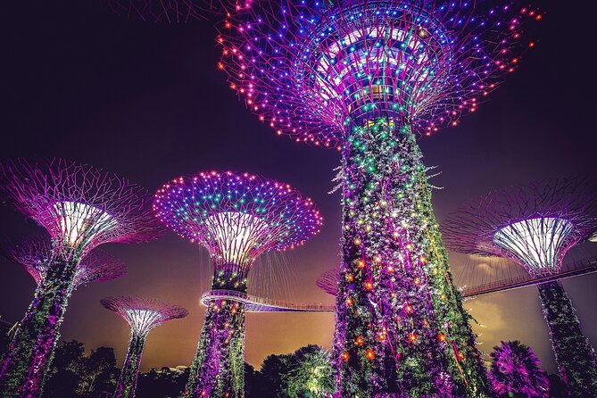 Singapore Starry Night Cruise, Garden Rhapsody & Spectra Show - The Singapore Flyer and F1 Pit Building photo stop