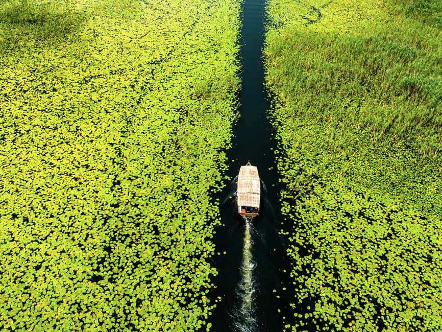 Skadar Lake National Park: Guided Boat Tour with Wooden Boat - Narrow channels and the first views of Lake Skadar