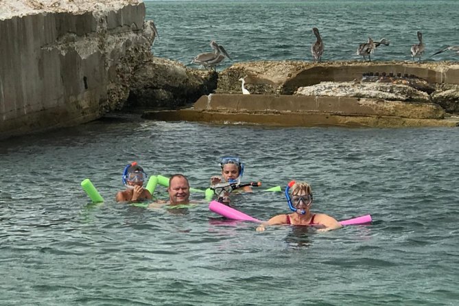 Small Group 2 Hour Dolphin Cruise with Snorkeling to Shell Key - A small boat makes the difference at Tierra Verde
