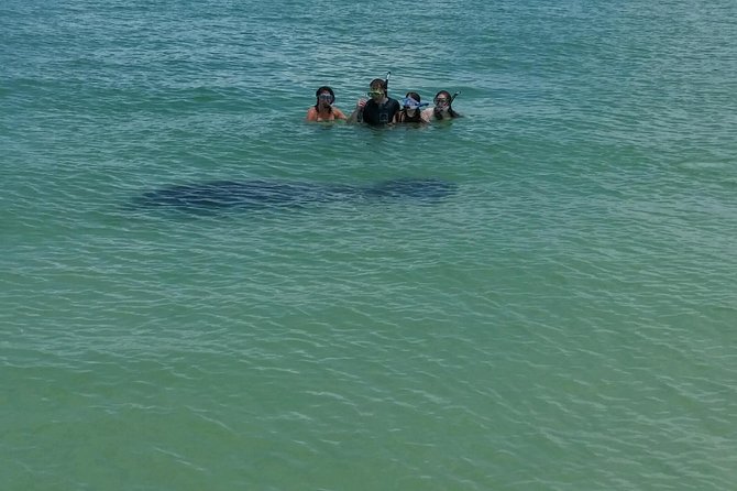 Small Group 2 Hour Dolphin Cruise with Snorkeling to Shell Key - The $75 price works best for a small party
