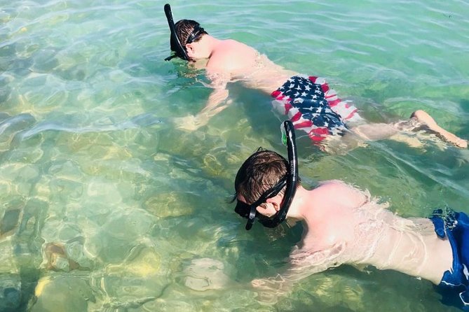 Small Group 2 Hour Dolphin Cruise with Snorkeling to Shell Key - Shell Key adds beach time, shells, and shallow water