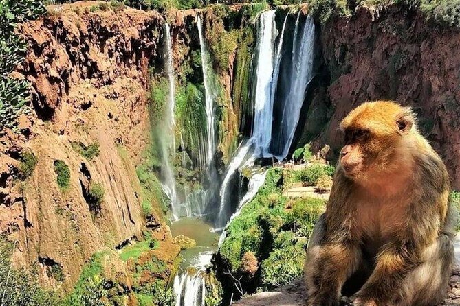 Small group Ouzoud Waterfall Guided Tour Boat Ride from Marrakech - The guide can shape the whole day