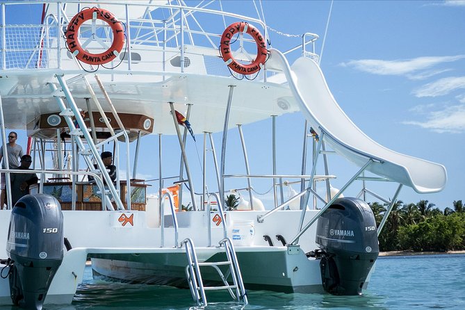 Small Group Snorkeling Cruise with Open Bar and Light Snacks - Timing, weather, and practical things to pack