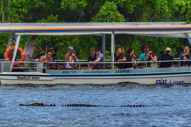 Solar Whisper Daintree River Crocodile and Wildlife Cruise - Key things to know before you book