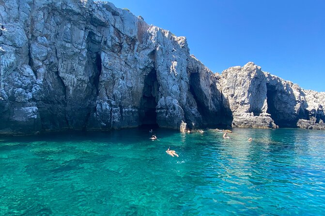 Sun & Sea All Inclusive 3 Hour Swimming Cruise (WITH PICK UP SERVICE) - Who will enjoy this cruise most