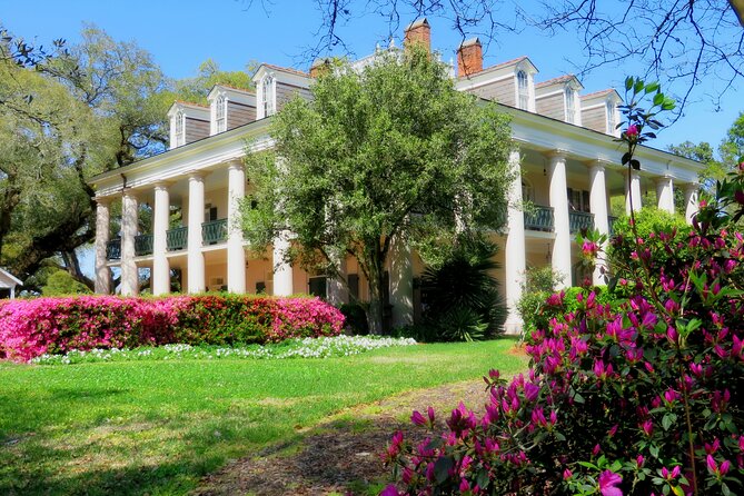 Swamp Boat Ride and Oak Alley Plantation Tour from New Orleans - Oak Alley and the long corridor of live oaks