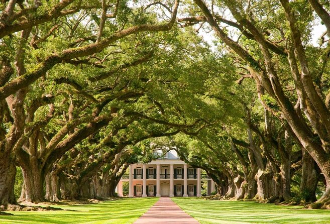 Swamp Boat Ride and Oak Alley Plantation Tour from New Orleans - Manchac Swamp by covered pontoon boat