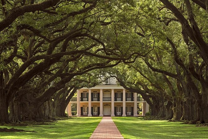 Swamp Boat Ride and Oak Alley Plantation Tour from New Orleans - Guide quality and group comfort