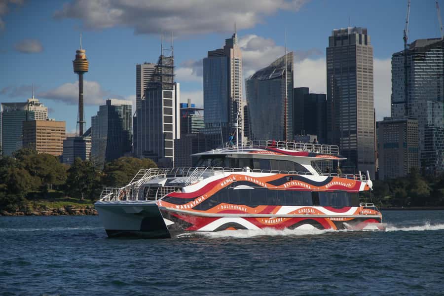 Sydney: 2-hour Express Whale Watching Cruise - The guides add more than basic commentary