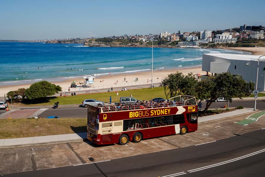 Sydney: Big Bus Hop-On Hop-Off Tour with Optional Cruise - Key points to know before you board