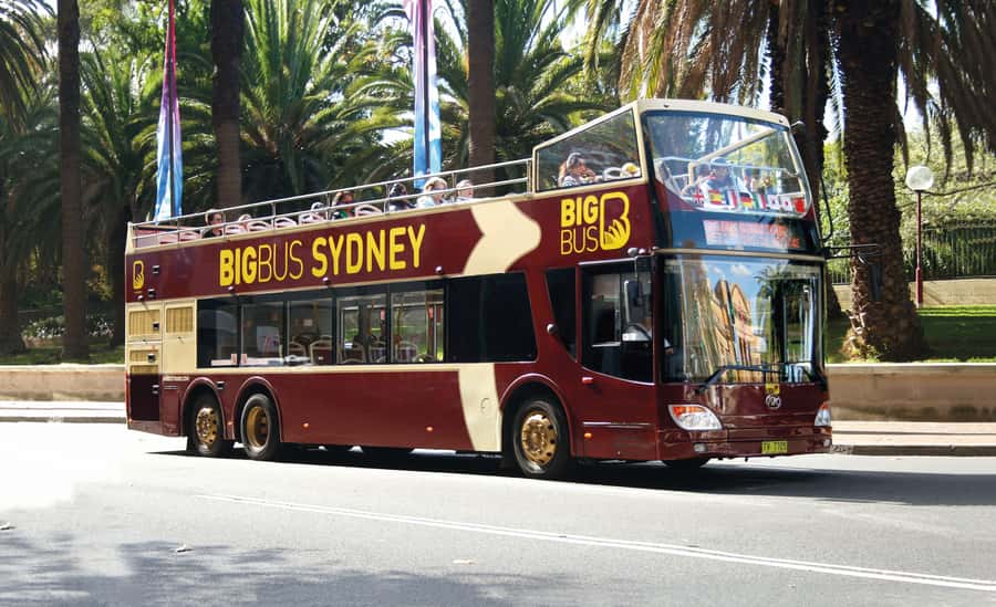 Sydney: Big Bus Hop-On Hop-Off Tour with Optional Cruise - A practical plan for using the pass