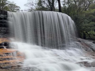 Blue Mountains National Park Tour with River Cruise