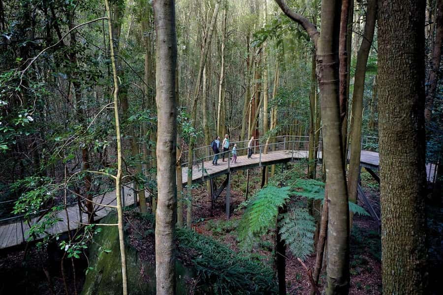 Sydney: Blue Mountains National Park Tour with River Cruise - Walking to Wentworth or Katoomba Falls