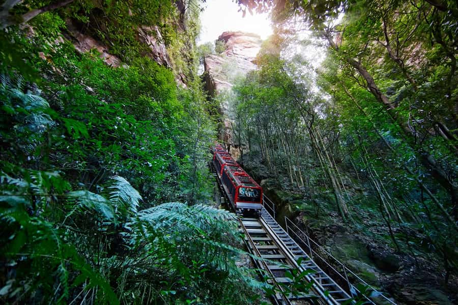Sydney: Blue Mountains National Park Tour with River Cruise - Lunch and a short look around Leura