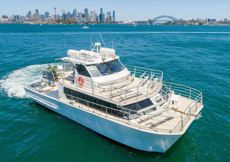 Sydney: Whale Watching Adventure Cruise - Key points to know before you book