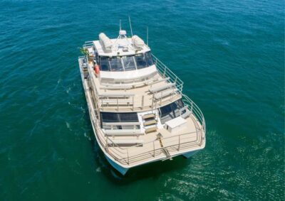 Whale Watching Adventure Cruise