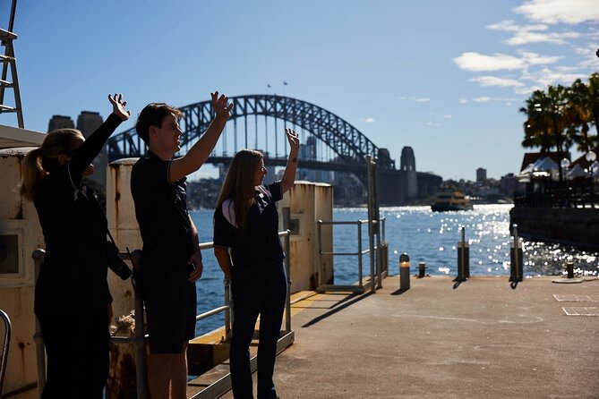 Sydney Whale-Watching Cruise Including Lunch or Breakfast - Is the $74.59 price good value?