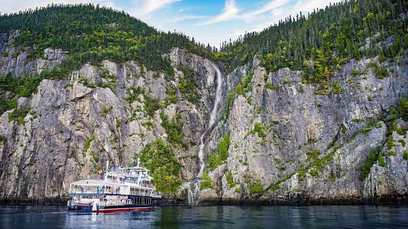Tadoussac/Charlevoix: 3-Hour Whale Watching Boat Tour - Who will enjoy this cruise most