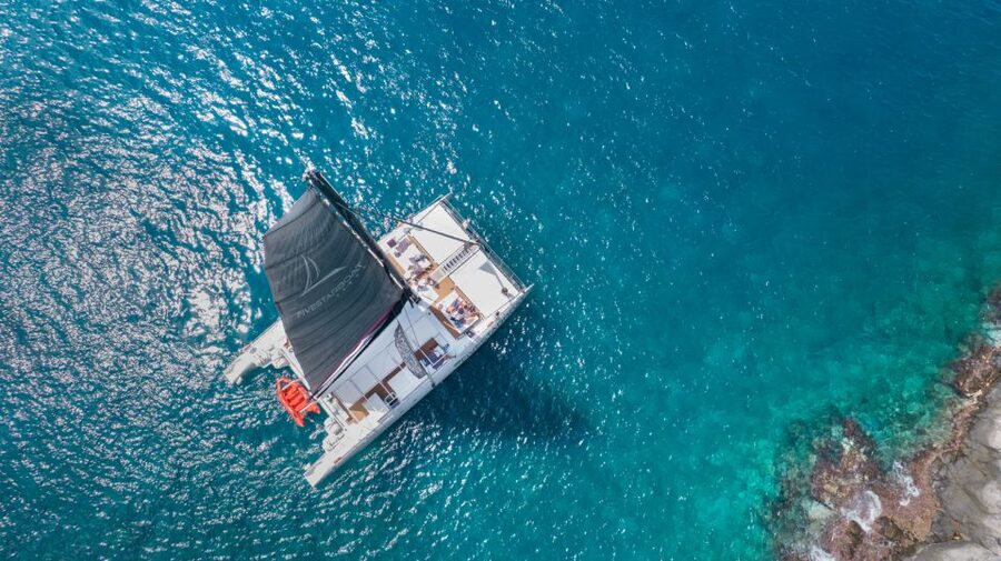 Tenerife: Catamaran Cruise with Brunch and Unlimited Drinks - Palm-Mar and the return to Marina del Sur