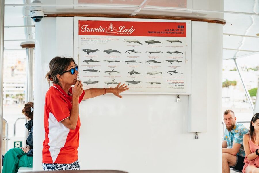 Tenerife: Eco-Yacht Whale and Dolphin Watching and Swimming - A short whale-watching trip from Los Cristianos