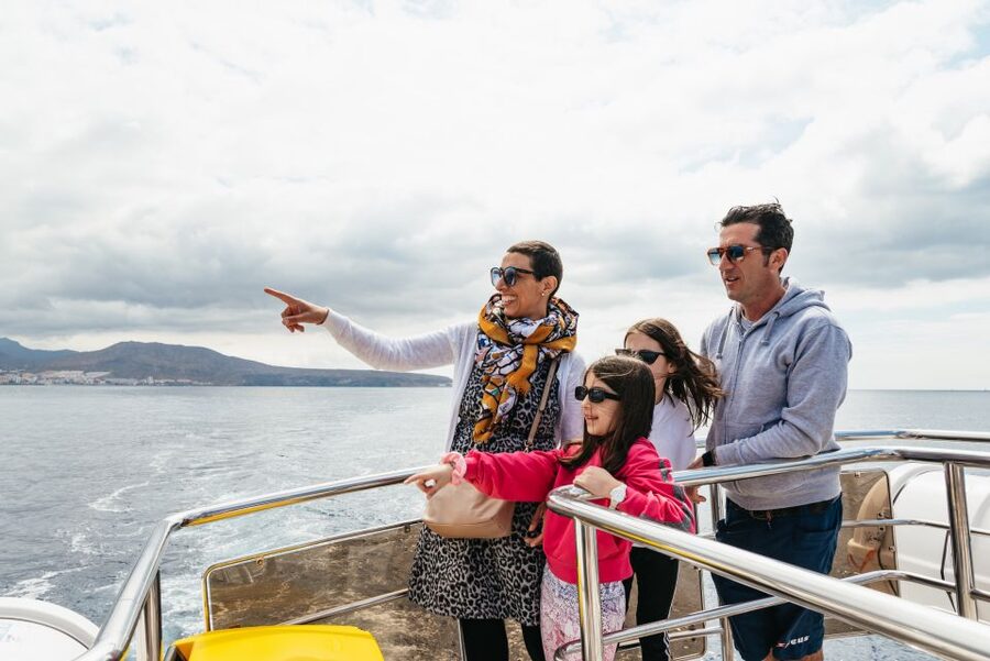 Tenerife: Eco-Yacht Whale and Dolphin Watching and Swimming - Timing, boarding, and what to bring