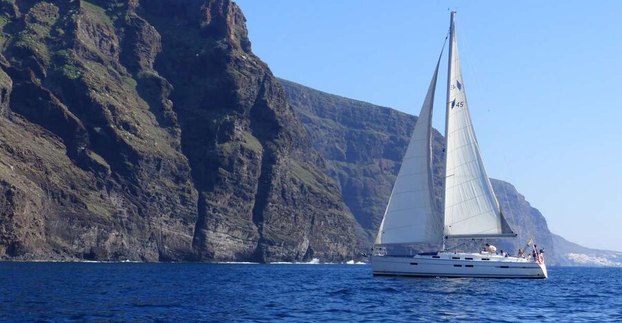 Tenerife: Los Gigantes Whale Watching Cruise by Sail Boat - Two hours searching for whales and dolphins