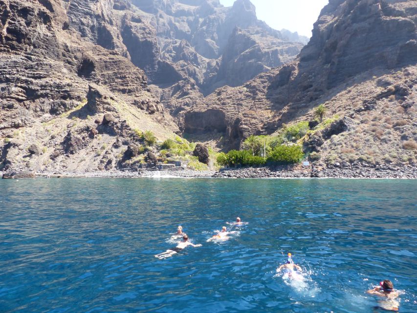 Tenerife: Los Gigantes Whale Watching Cruise by Sail Boat - Timing, booking, and practical details