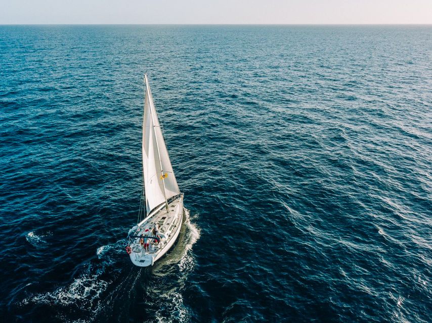 Tenerife: Sailboat Tour Whale Watching Food and Snorkeling - What makes this three-hour sail worthwhile