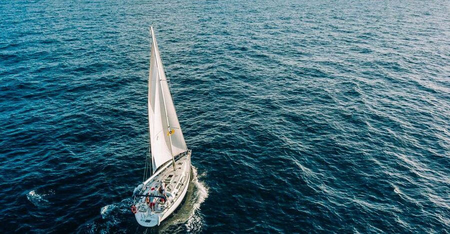 Tenerife: Sailboat Tour Whale Watching Food and Snorkeling - Watching pilot whales and dolphins without a crowded deck
