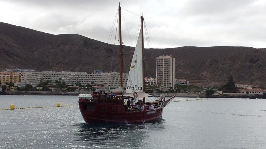 Tenerife: Whale & Dolphin Watching Cruise with Swim Stop - What the crew adds to the cruise